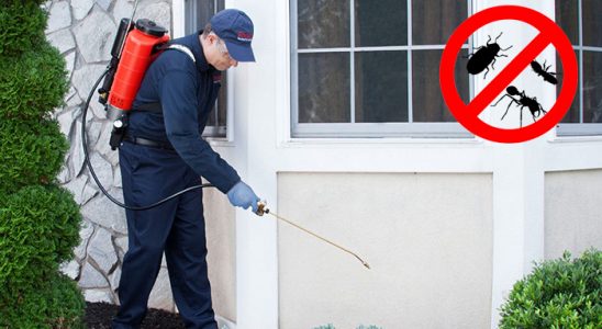 Ortaca Kene İlaçlama böcek ilaçlama ve haşere kontrolü — ilaclama-tr.com